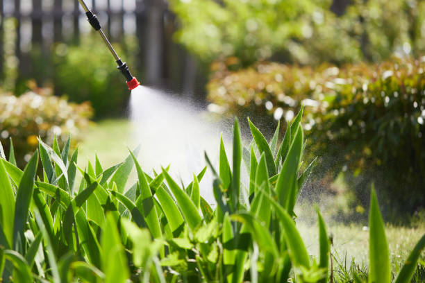 24/7 Emergency Mosquito Control experts in Claymont, DE