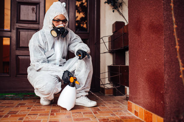 Reliable Mosquito Control contractor in Claymont, DE by Show Me Pest Control
